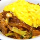 豚肉のケチャップ炒めのタマゴのせ